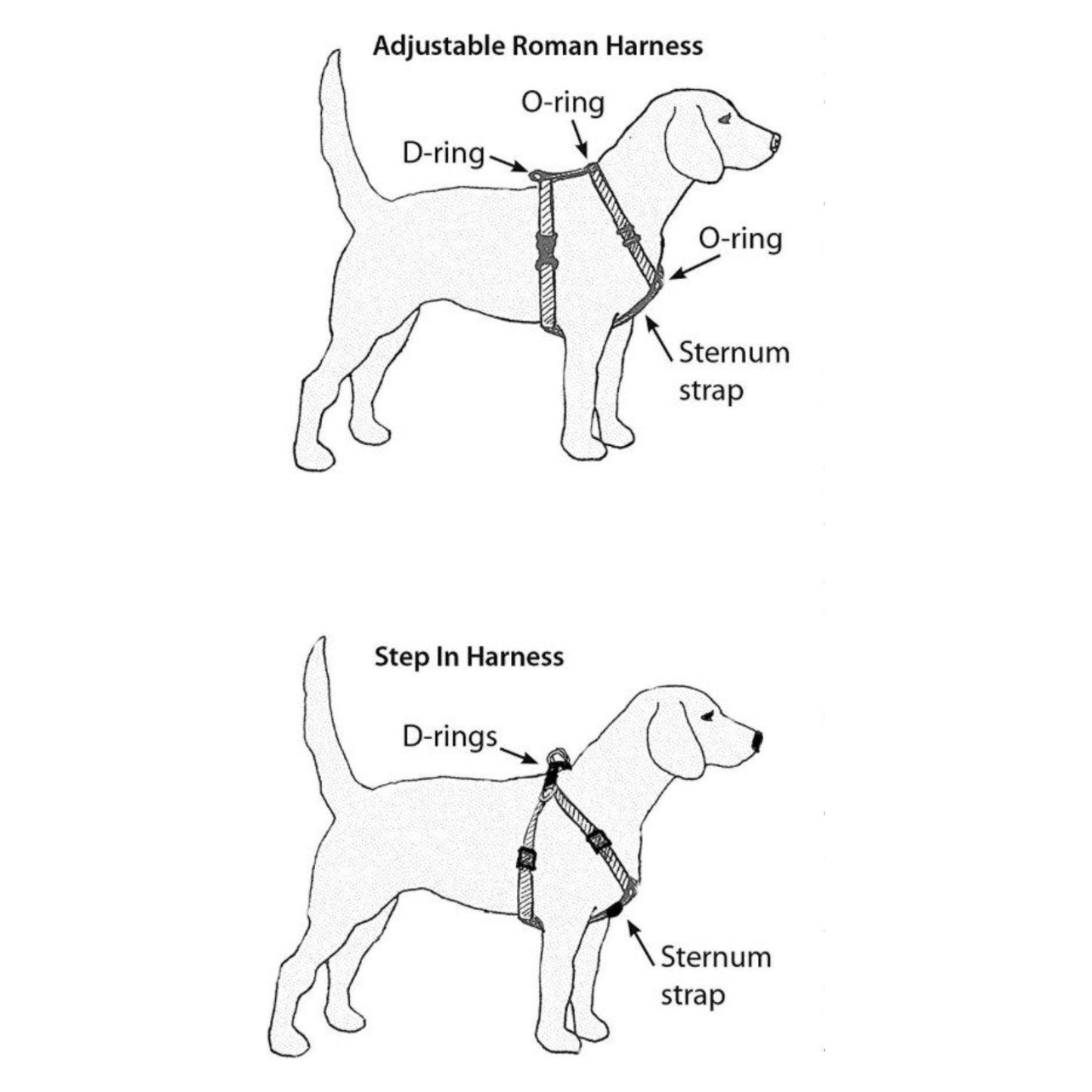 Tropical Step-In Harness & Leash Bundle – Adjustable & Secure Fit - Purekind Living