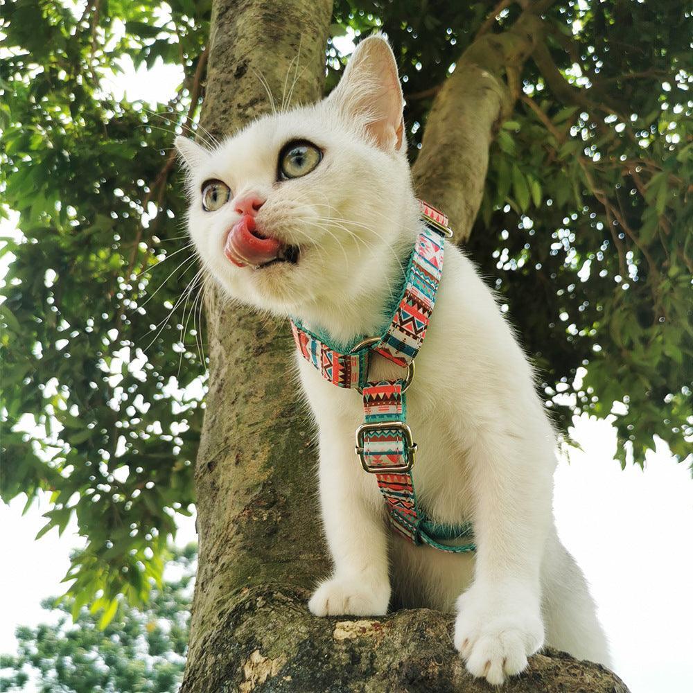 Tropical Step-In Harness & Leash Bundle – Adjustable & Secure Fit - Purekind Living