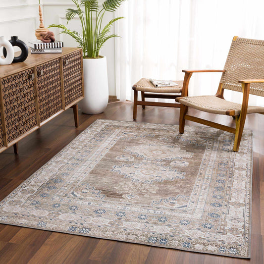 Baltinglass washable Southwestern area rug in living room with woven chair