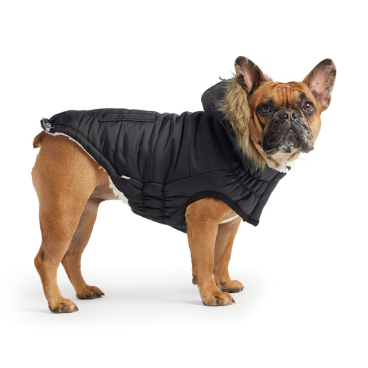 Urban Dog Parka with Sherpa Lining and Faux Fur Hood - PUREKIND