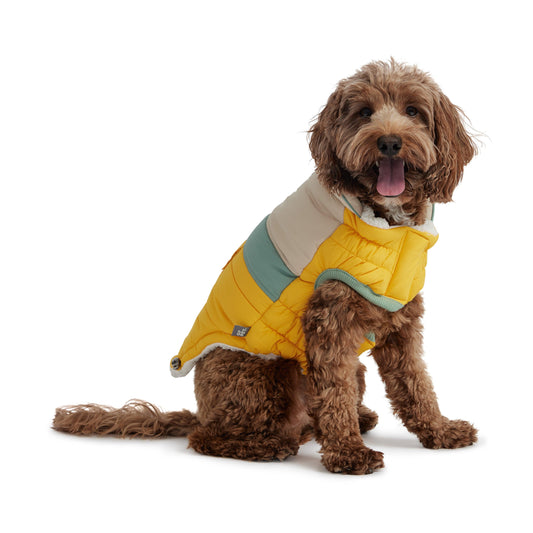 Camplife Retro Yellow Dog Puffer Jacket – Water-Repellent & Sherpa-Lined - Purekind Living