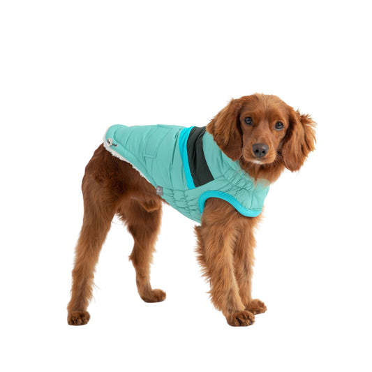 Retro Sporty Alpine Puffer Jacket – Insulated & Water-Repellent Pet Coat - Purekind Living
