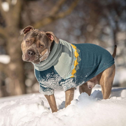 Fireside Dog Sweater in Teal – Vintage-Inspired Knit Turtleneck - Purekind Living