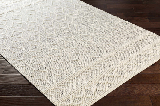 Close-up of Carolina Rug’s high-low woven texture