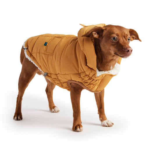 Yellow Puff Parka Dog Coat with Sherpa Lining and Tackable Hood - PUREKIND
