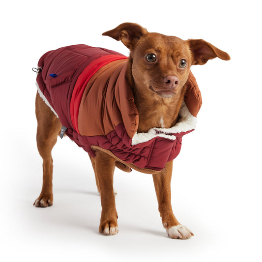 Retro Puffer Dog Coat with Sherpa Lining - Dark Red - PUREKIND