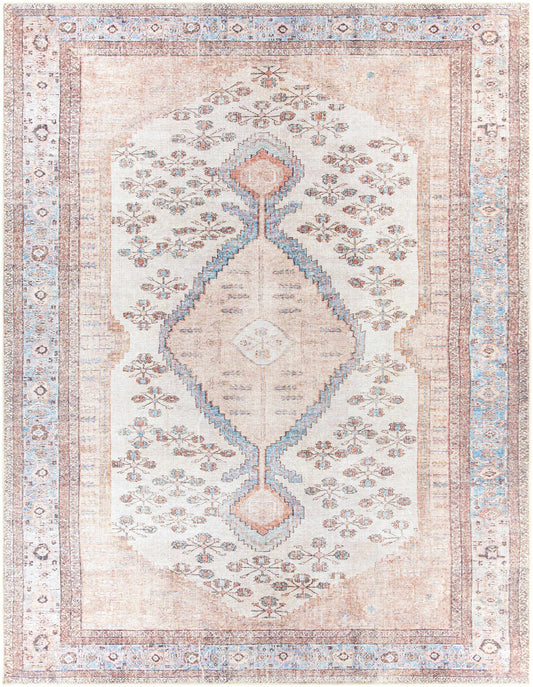 Moora washable traditional area rug with medallion design in pink and aqua