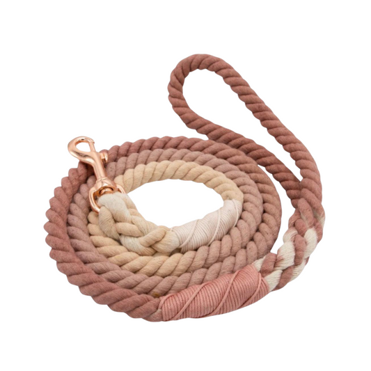Hand-dyed cotton rope dog leash in earthy tones with luxe gold hardware.