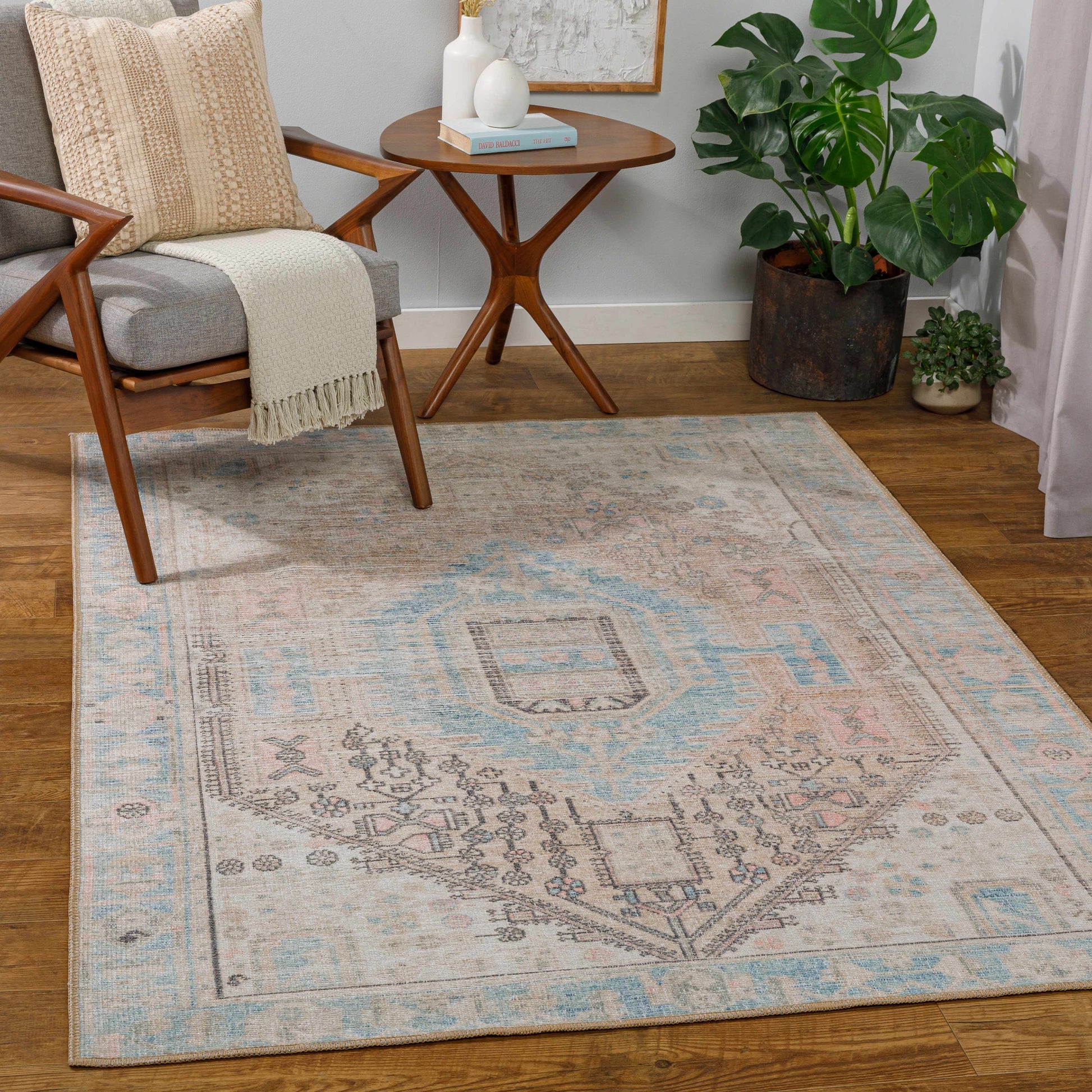 Living room with a patterned rug, chair, side table, and plants.