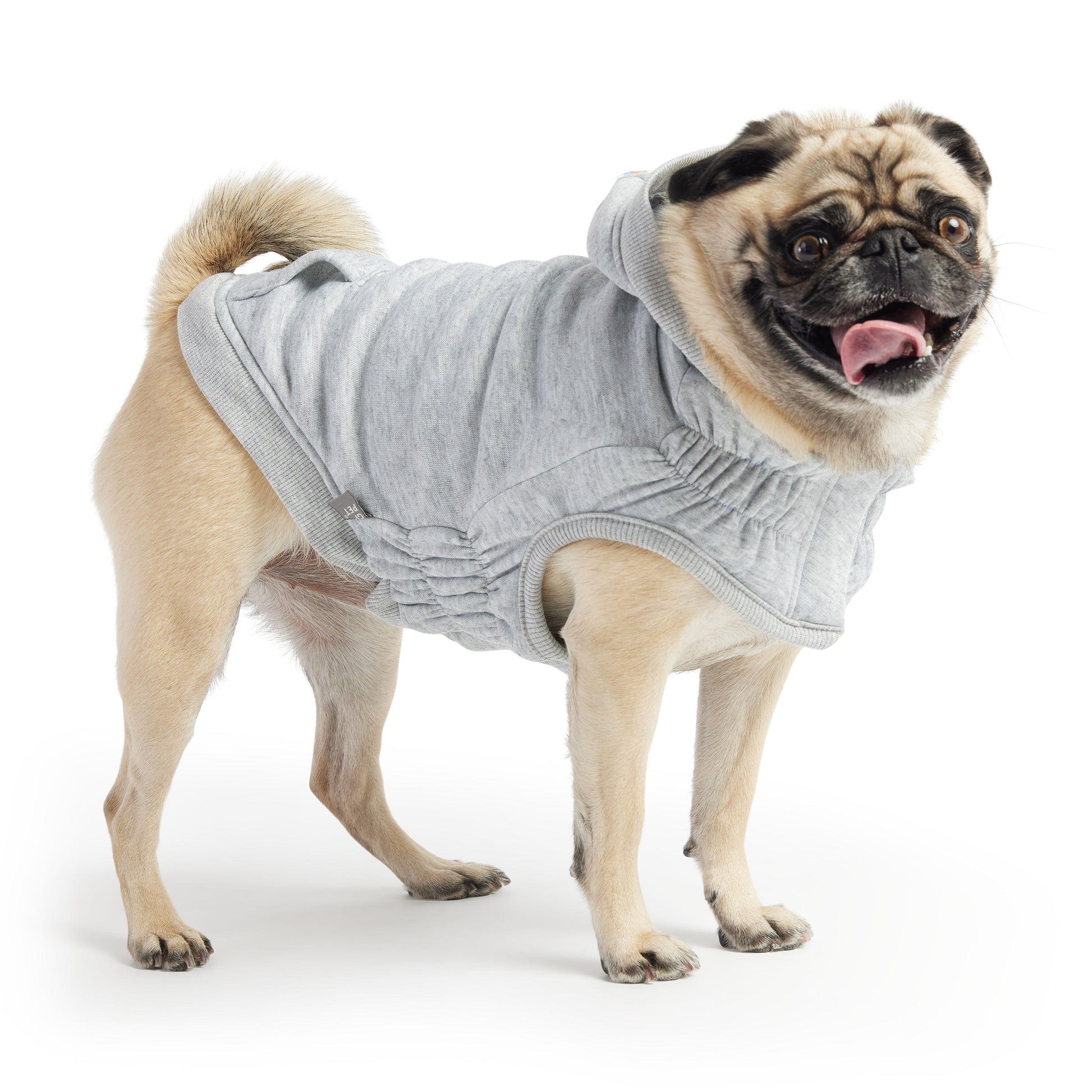 Urban Heather Grey Dog Hoodie shown on a pug.  